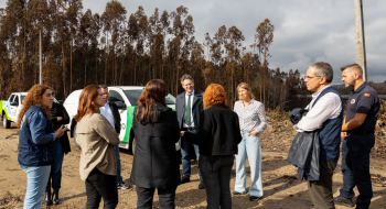 As Serras do Porto, em parceria com a LIPOR, procuram adaptar as Serras às Alterações Climáticas