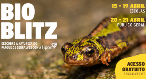 BIOBLITZ | Descobre a Natureza do Parque de Serralves com a Lipor e os seus Municípios Associados 15 a 21 de abril