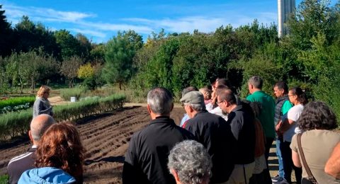 Horta à Porta – The privilege of having a farming space in the heart of the City!