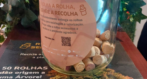 Rolha a Rolha semeia a recolha - Município de Valongo e LIPOR arrancam com campanha de sensibilização para a recolha de rolhas de cortiça